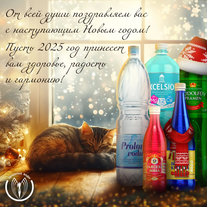 Поздравляем с Новым годом