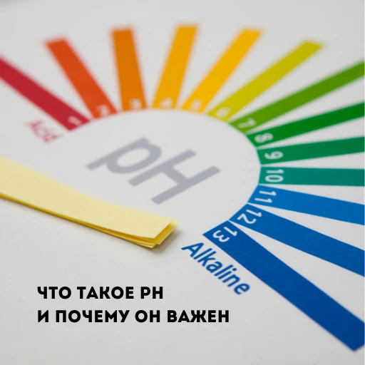Щелочная вода: Как она работает и почему её эффект сохраняется в желудке