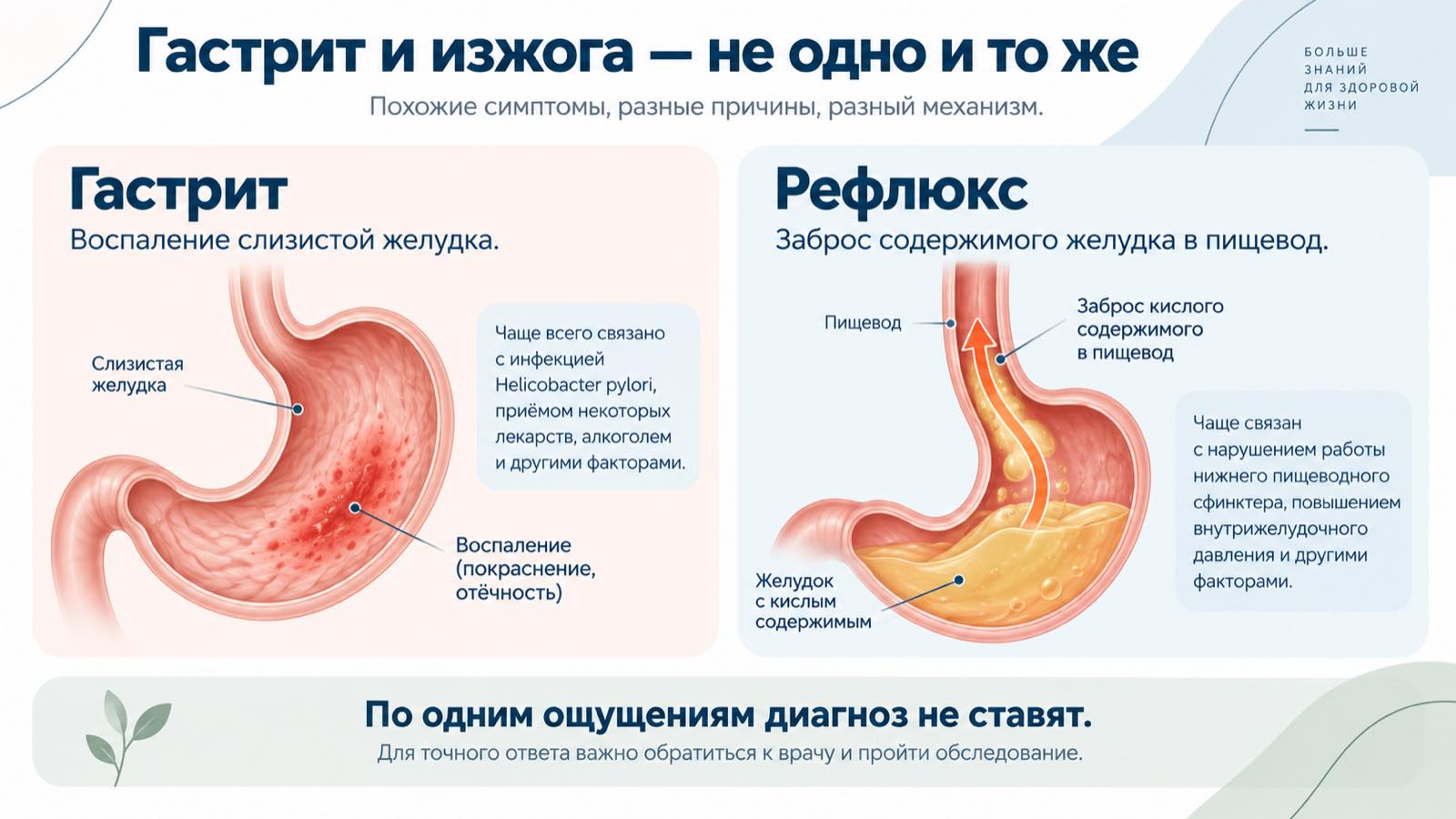 Гастрит и рефлюкс: различие между воспалением желудка и забросом кислоты