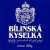 Билинска Киселка