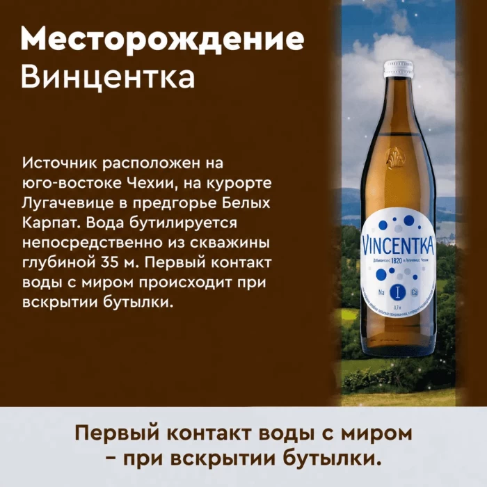 Винцентка 0,7 литра, природ. газ.