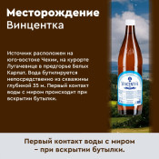 Купить минеральную лечебную воду из Чехии Винцентку природной газации