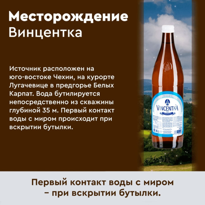 Винцентка 0,7 литра, природ. газ.