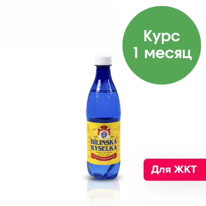 Билинска Киселка 0,5 литра, природ. газ.