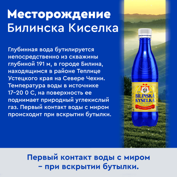 Билинска Киселка 0,5 литра, природ. газ.