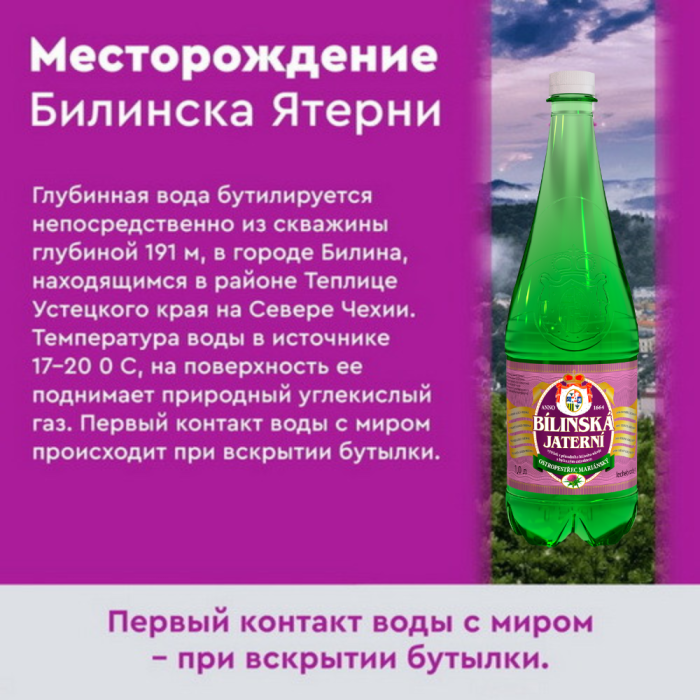 Билинска Киселка с расторопшей 1 литр, природ. газ.