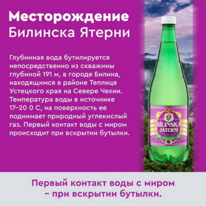 Билинска Киселка с расторопшей 1 литр, природ. газ.