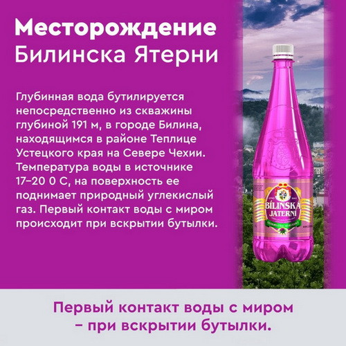 Билинска Киселка с расторопшей 1 литр, природ. газ.