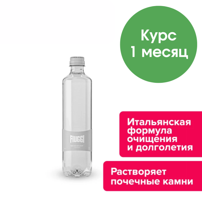 Fiuggi, 1 л, негазированная, ПЭТ (запас воды на 1месяц, 45 бутылок)