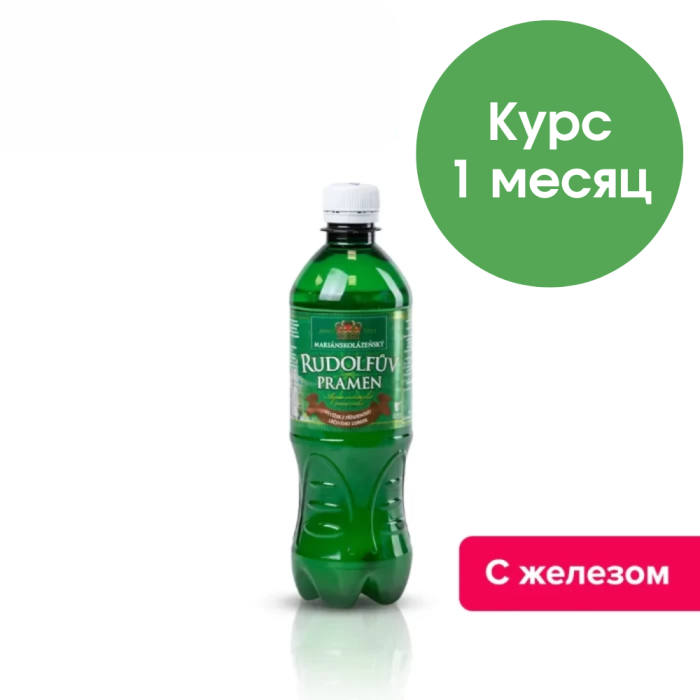 Рудольфов Прамен 0,5 л., природ. газ. (запас воды на 1 месяц, 45 бутылок) 