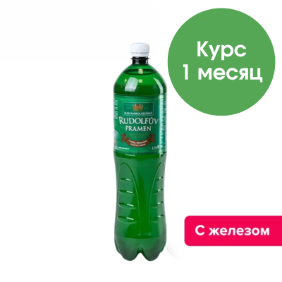 Рудольфов Прамен 1,5 л., природ. газ. (запас воды на 1 месяц, 15 бутылок)