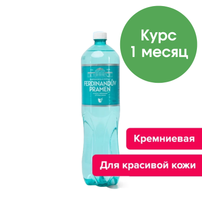 Фердинандов Прамен 1,5 л, природ. газ. (запас воды на 1 месяц, 30 бутылок)