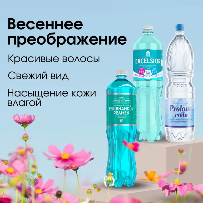 Курс. Сияние красоты
