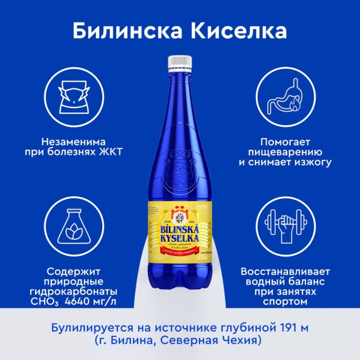 Билинска Киселка 1 литр, природ. газ. (срок годности до 16.12.2026)