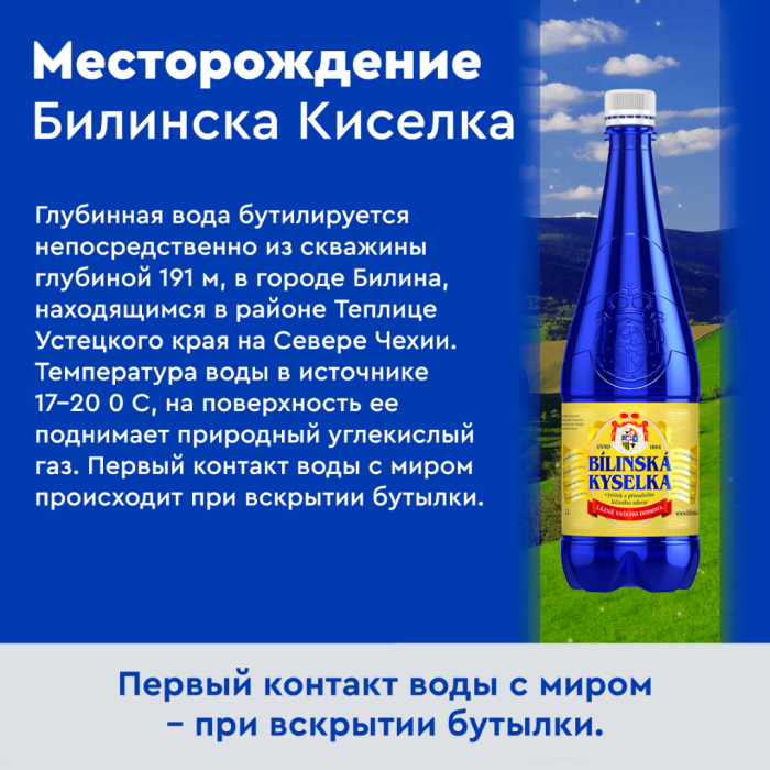 Билинска Киселка 1 литр, природ. газ. (срок годности до 16.12.2026)