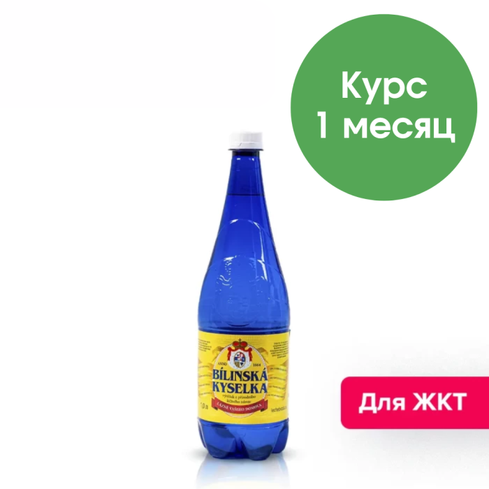 Билинска Киселка 1 литр, природ. газ. (срок годности до 16.12.2026)