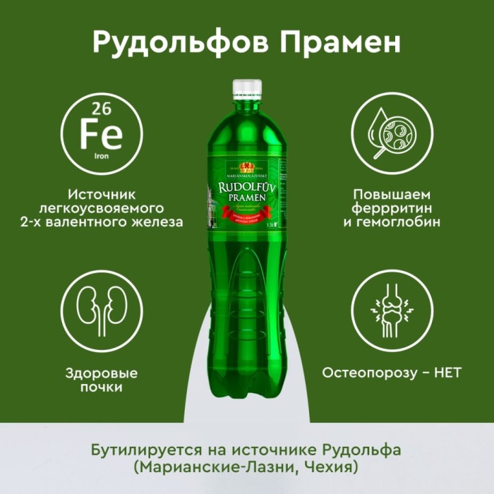 Рудольфов Прамен 0,5 л., природ. газ. (cрок годности: до 26.11.2026)