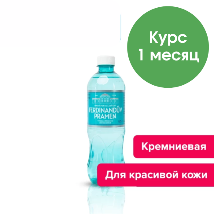 Фердинандов Прамен 0,5 л, природ. газ. 