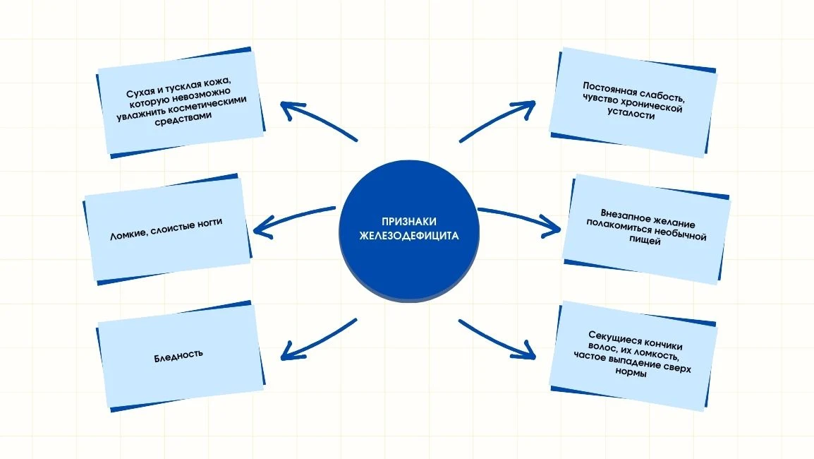 Инфографика о различиях в усвоении железа из разных продуктов