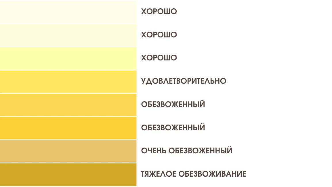 Контроль гидратации по цвету мочи