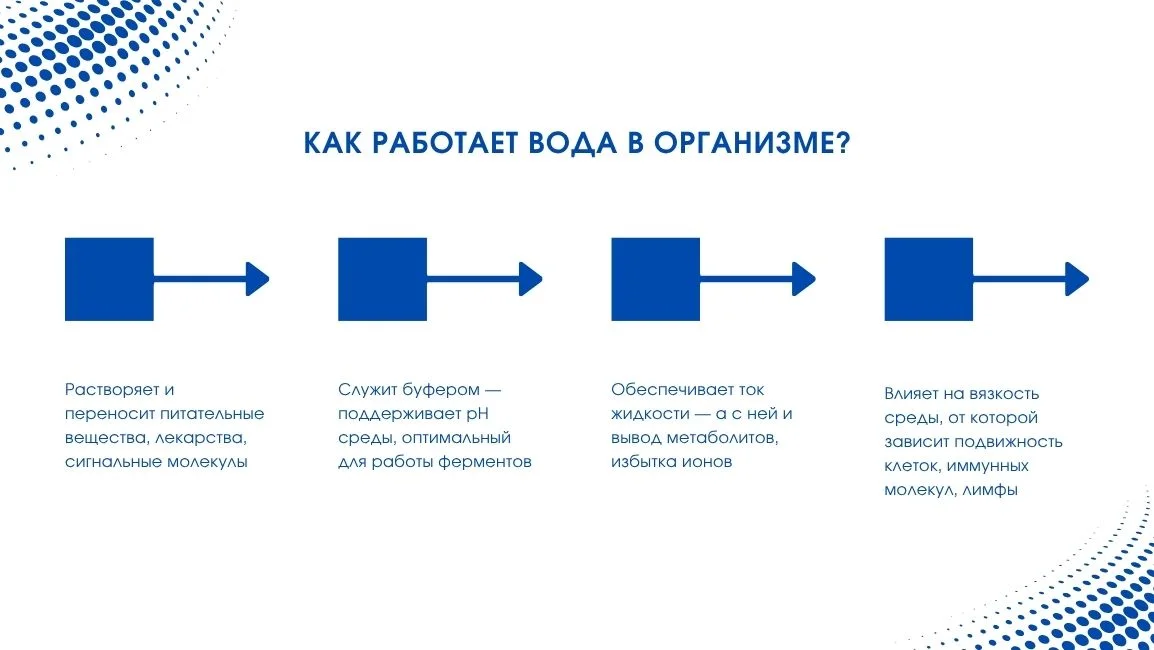 Схема работы воды в организме