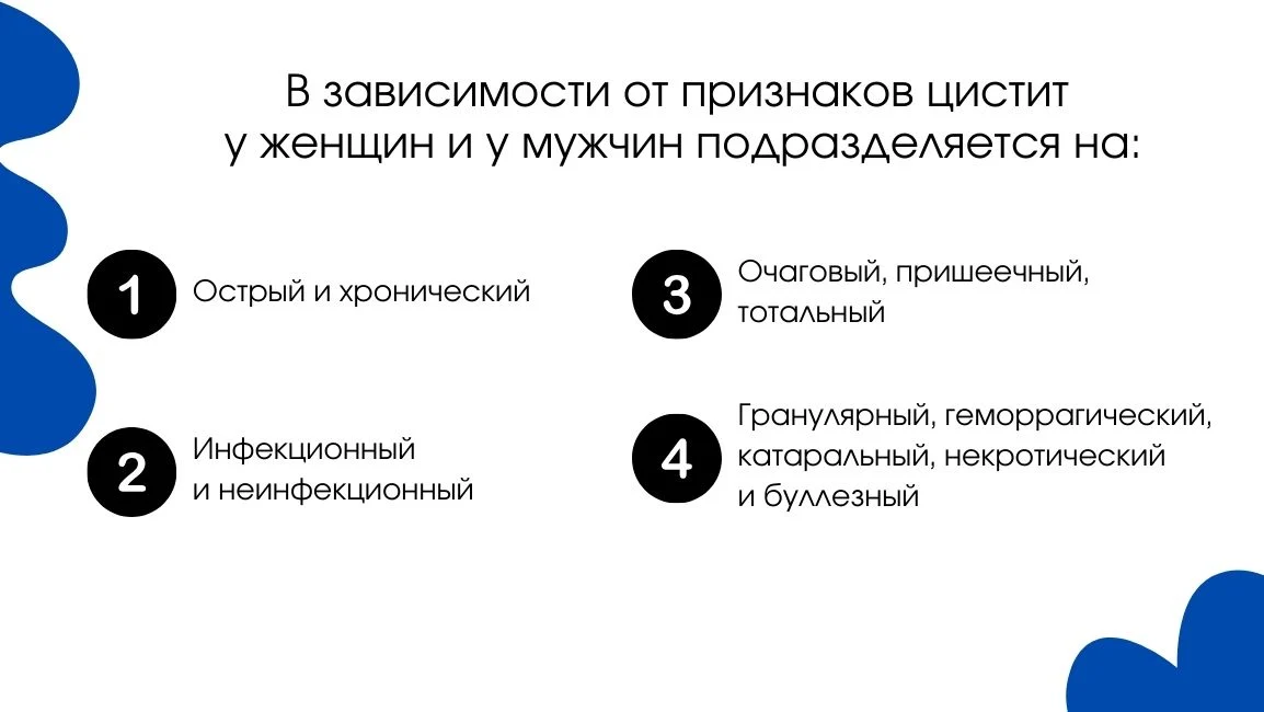 Инфографика о классификации цистита
