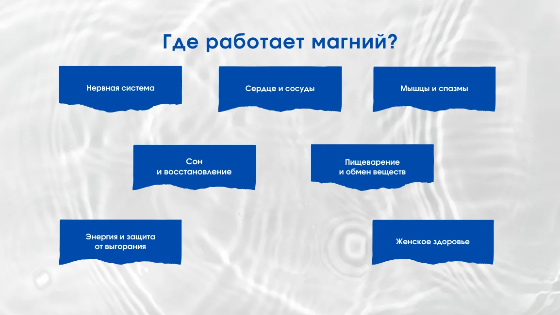 Иллюстрация областей действия магния на организм человека