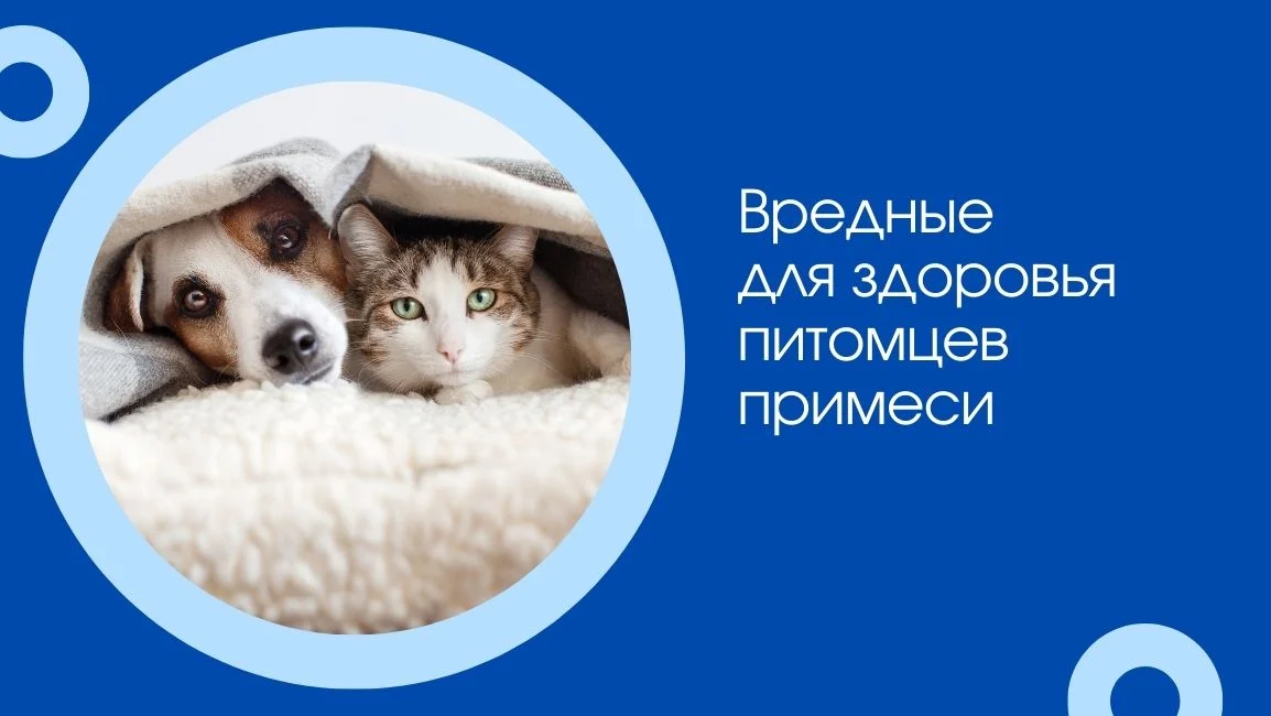 о вредных веществах в воде для домашних питомцев