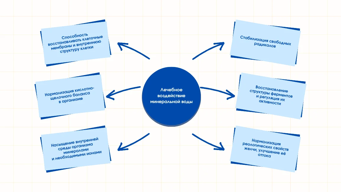 Схема лечебного действия минеральной воды