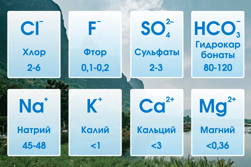 Общий состав минеральной воды Пролом